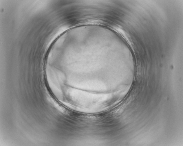 X0000088191235200706051158