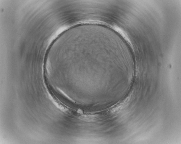 X0000088191237200706051159