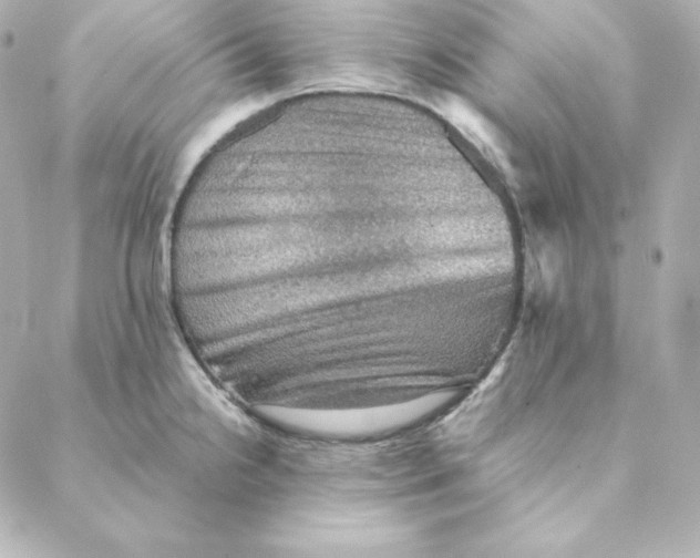 X0000088191238200706051159