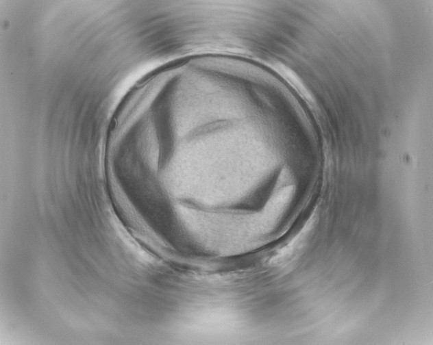 X0000088191246200706051159