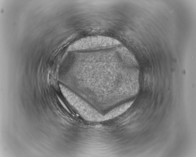 X0000088191250200706051158