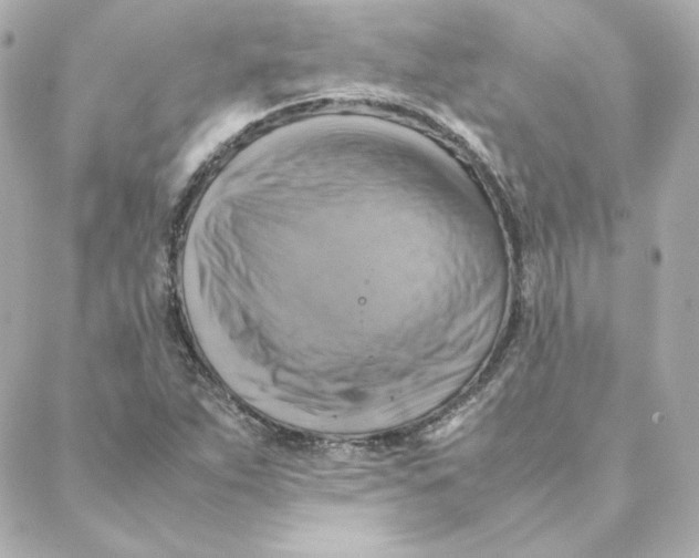 X0000088191263200706051158