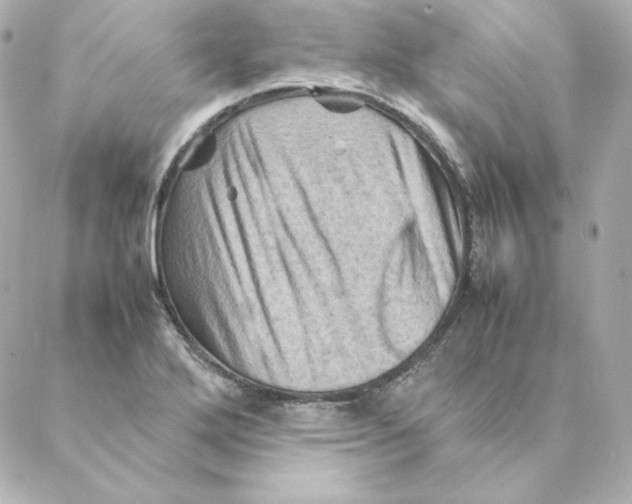X0000088191272200706051158