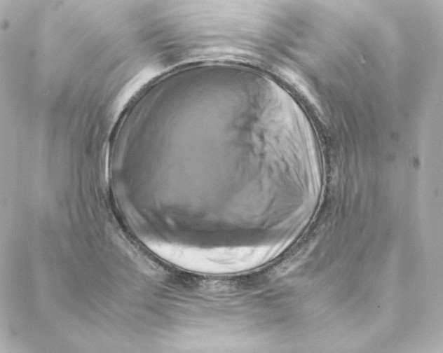 X0000088191275200706051157