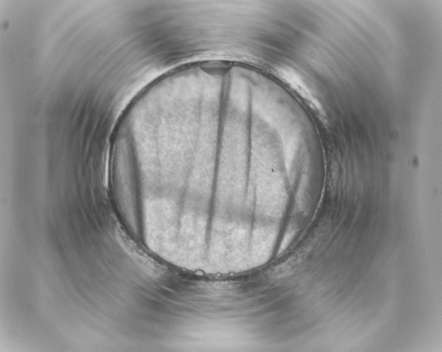 X0000088191276200706051157