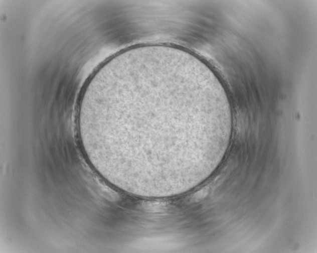 X0000088191278200706051157