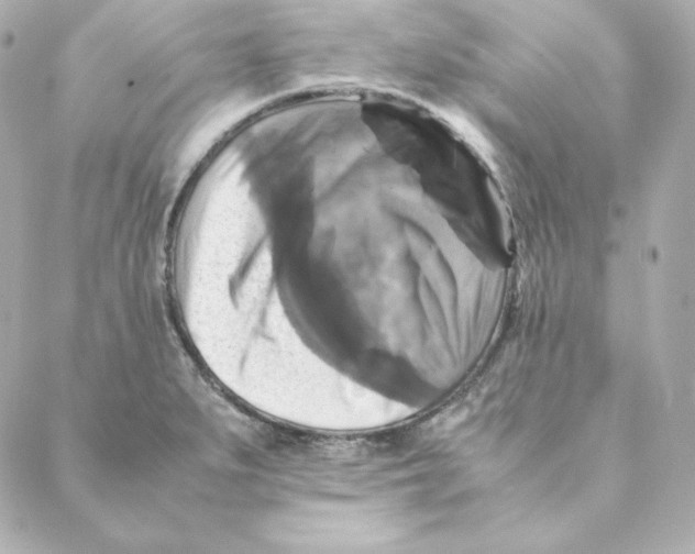 X0000088191279200706051157