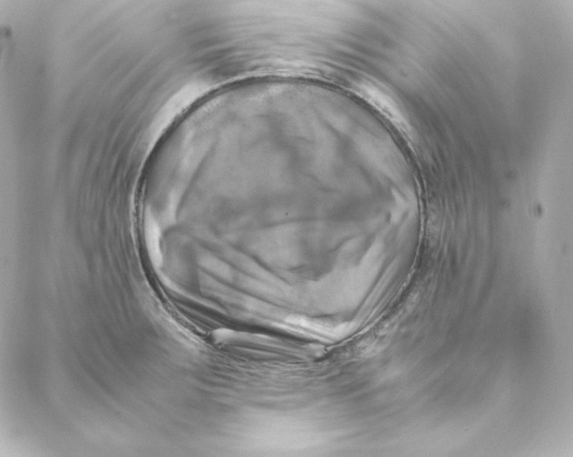 X0000088191283200706051157