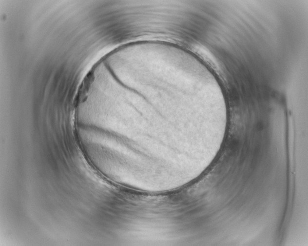 X0000088191284200706051157