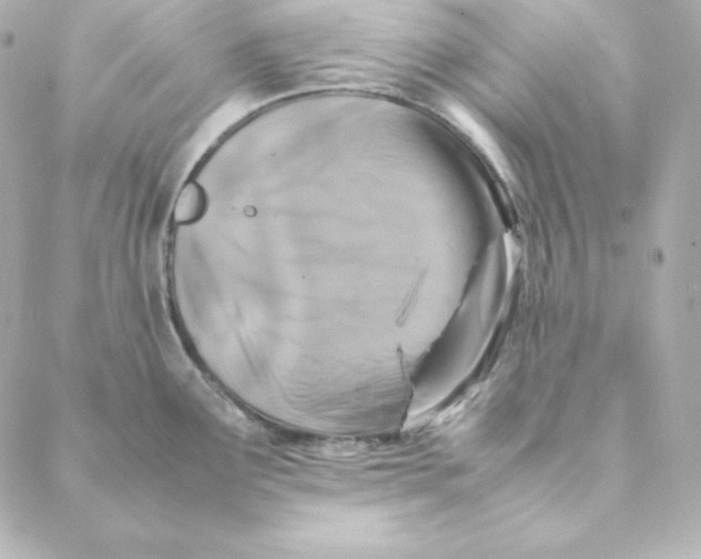X0000088191291200706051157