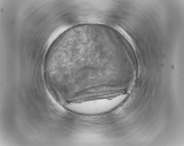 X0000088191293200706051157