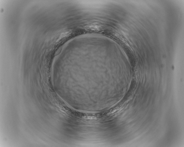 X0000088191297200706051156