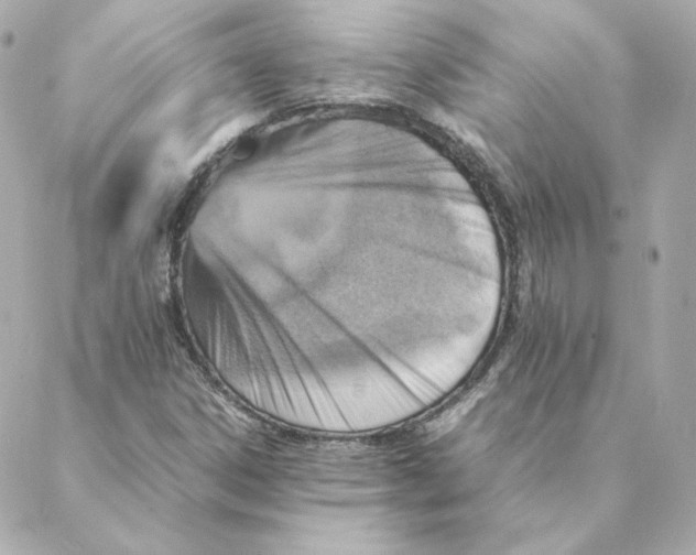 X0000088191306200706051156