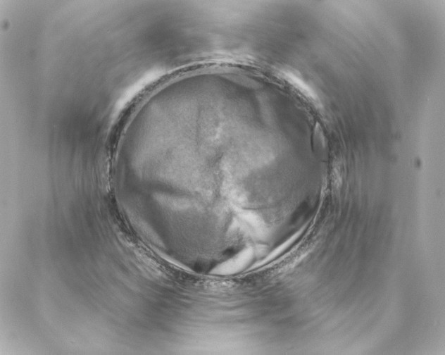 X0000088191310200706051157