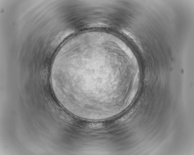 X0000088191313200706051157