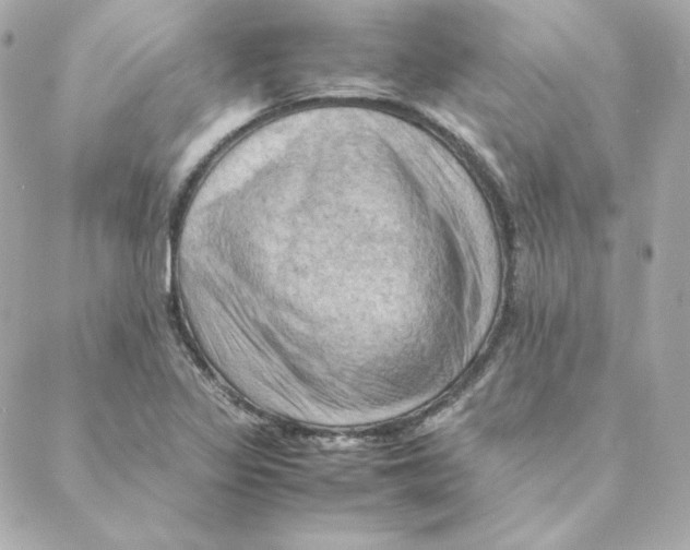 X0000088191317200706051157