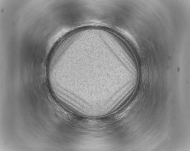 X0000088191318200706051157