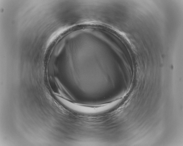X0000088191319200706051157