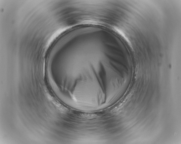 X0000088191323200706051157