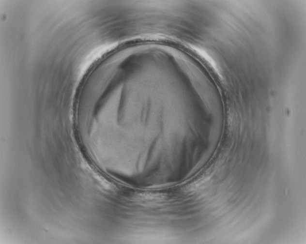X0000088191327200706051157