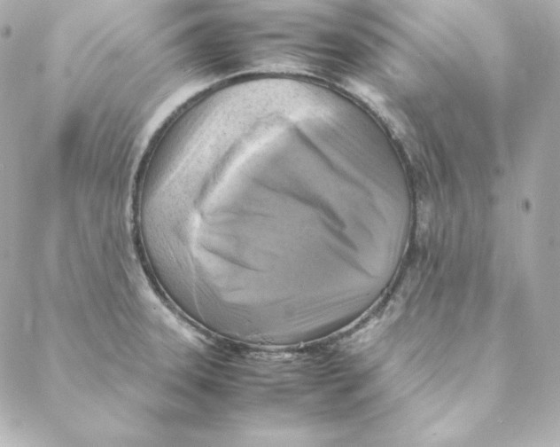 X0000088191331200706051157
