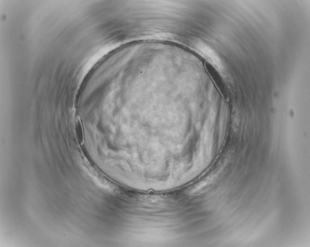 X0000088191332200706051157