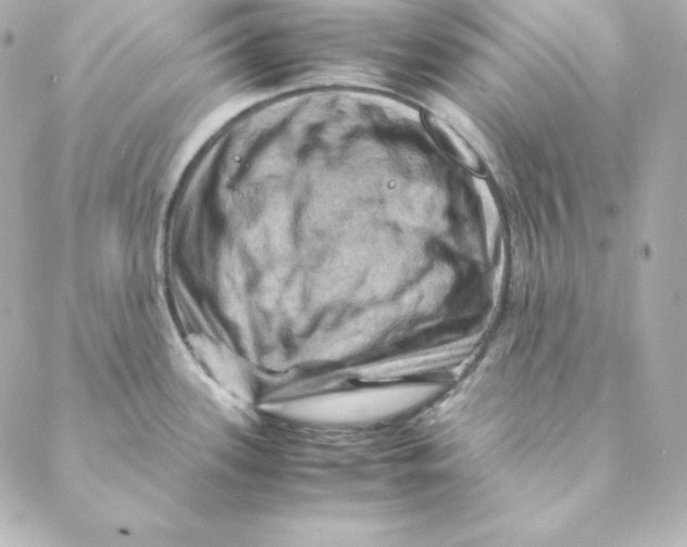 X0000088191339200706051157