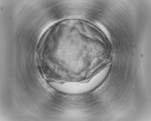 X0000088191340200706051157