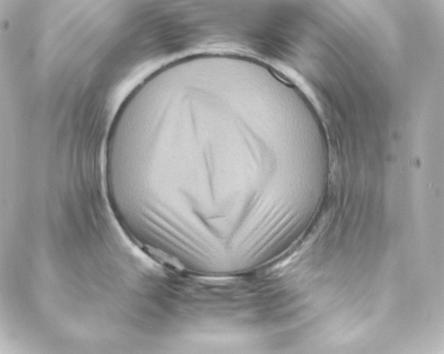 X0000088191343200706051157