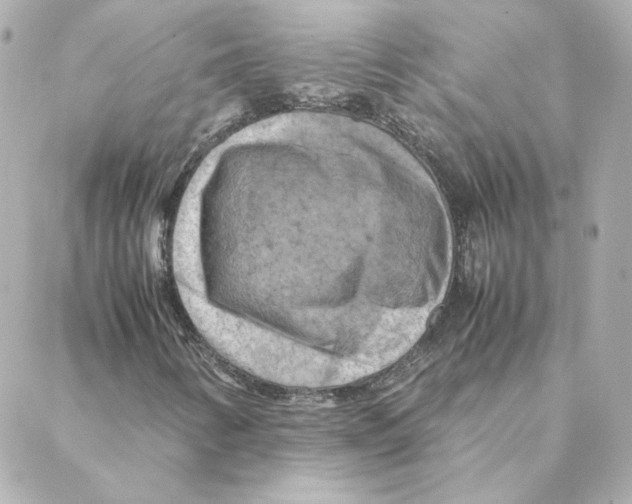 X0000088191346200706051156