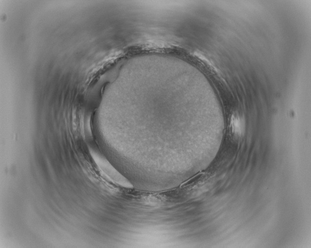 X0000088191348200706051156