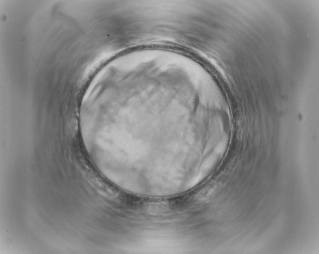 X0000088191363200706051156