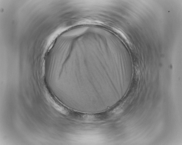 X0000088191371200706051156