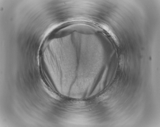X0000088191372200706051156