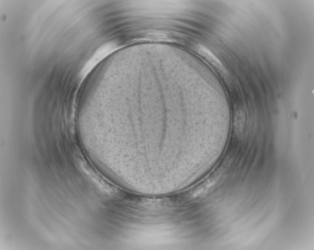 X0000088191378200706051156