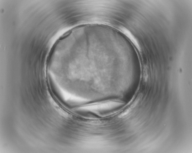 X0000088191388200706051156