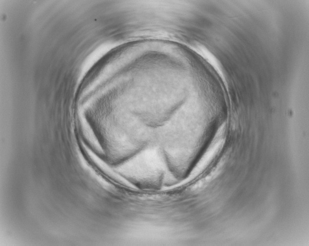 X0000088191389200706051156
