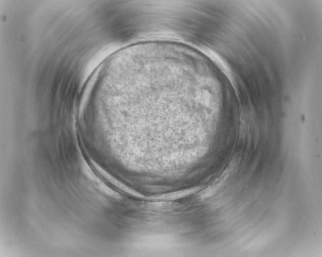 X0000088191390200706051156