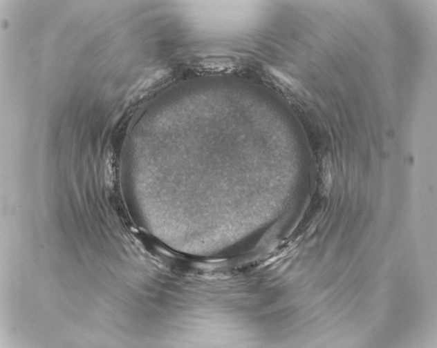X0000088191394200706051155
