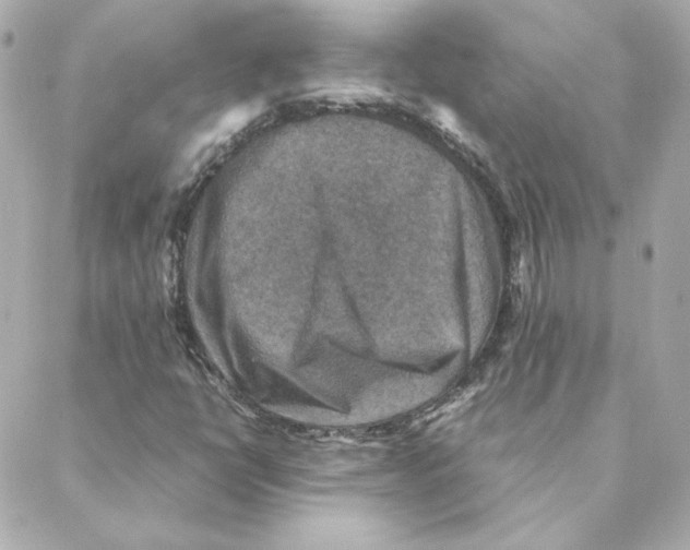 X0000088191398200706051155