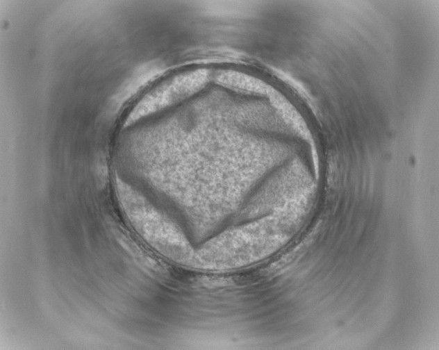 X0000088191407200706051155