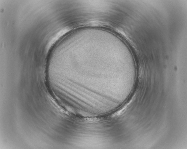 X0000088191410200706051155