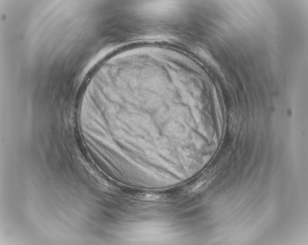 X0000088191412200706051155