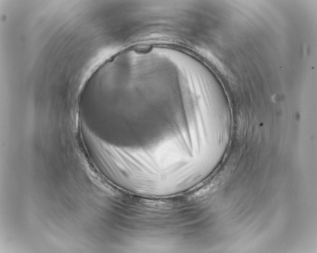 X0000088191413200706051155