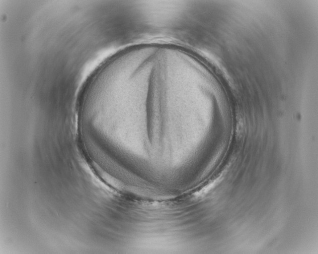 X0000088191414200706051155