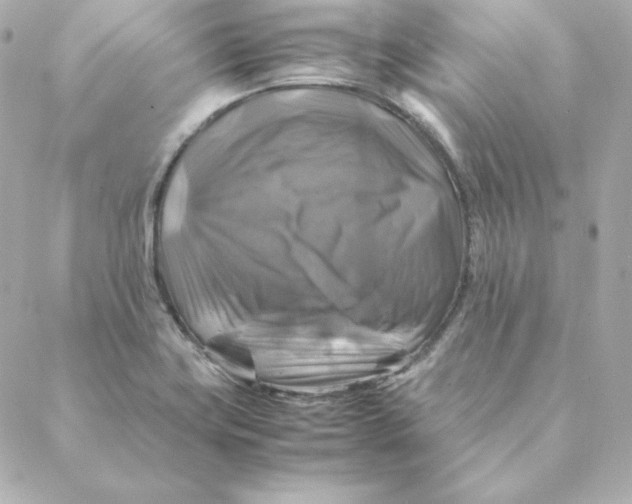 X0000088191419200706051155
