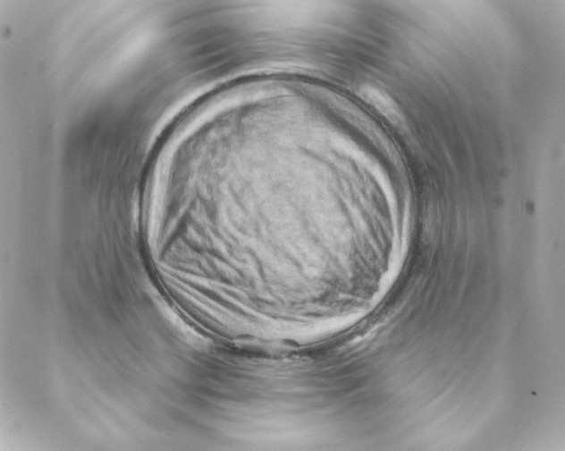 X0000088191420200706051155