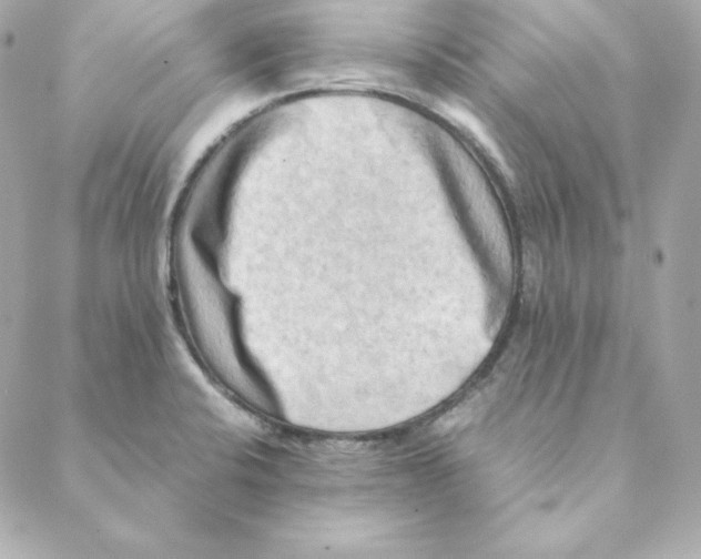 X0000088191424200706051155