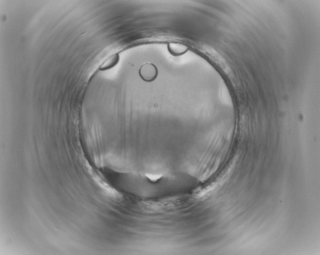 X0000088191425200706051155