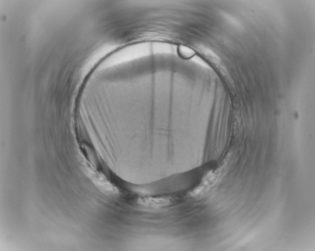 X0000088191427200706051155